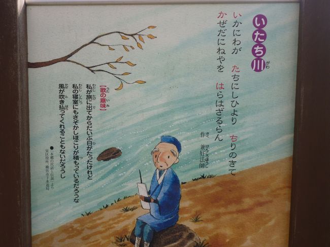 横浜市栄区役所と県立柏陽高校との間に流れてる、兼好法師も訪ねたと言わ<br /><br />れてる「いたち川」周辺及び港南台　山手学院高校下にある弘法大師の<br /><br />「證菩提寺」の桜見物。<br /><br />好天にも恵まれ満開の桜を満喫できた。<br /><br />