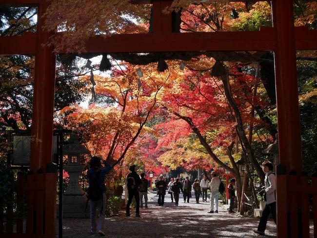 京都駅8時28分、向日駅に8時45分着、バスで大原野神社へ。<br />洛西の名社、山伝いに嵐山につながっていて、登山スタイルでこられている方も多かったです。<br /><br />近くの勝持寺によりバスで阪急の駅まで戻り、四条へ。<br /><br />八坂神社の裏手、リストランテキメラは、雰囲気も良く食事も美味しかったです。<br />その後は初めて伏見稲荷へ行きました。