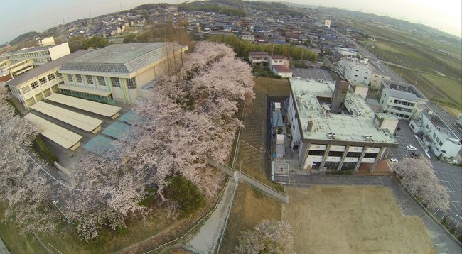 朝焼け狙いの桜坂空撮