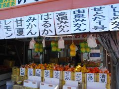 しまなみ海道　柑橘類いっぱいの瀬戸田を散策