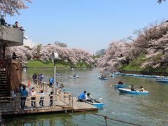 初公開の皇居乾通りの桜はスルーして、お堀をぐるりと廻って、千鳥ヶ淵のお花見