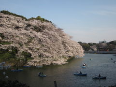 都内をブラブラお花見散歩