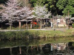 京都を歩く(190)　春爛漫　嵐山桜めぐり