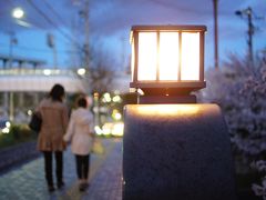 プラネタリウム＆栄でランチ＆山崎川の夜桜　とても充実した一日でした！　名古屋市科学館　プレーゴ　ラシック店　【2014年4月4日】