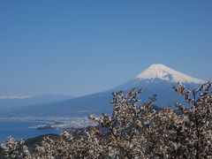 桜と富士山を愛でる旅  <地獄から天国へ>