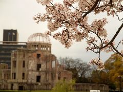 広島桜旅最終章　広島城と平和記念公園の桜　最後はやっぱりお好み焼き