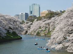 ２０１４年　桜　①千鳥ヶ淵