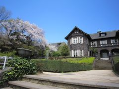 東京ぶらり散歩　～天気の良い日は旧古河庭園でお花見を～