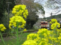 ’１４　ローカル線で房総横断１　菜の花＆桜満開のいすみ鉄道と房総の小江戸 大多喜編