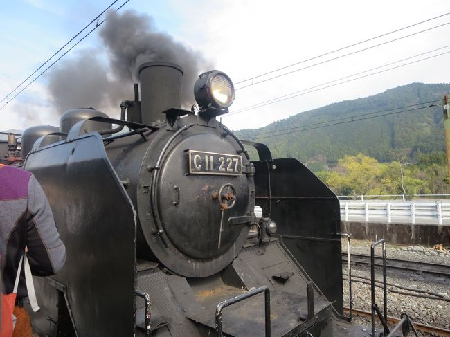 小学生の頃SLに乗り、車窓から桜を見た記憶が忘れられず、再び乗りたくなりました。<br />夫とちびこ(2歳3ヶ月)は初SL。楽しんでくれるといいなぁ。<br />今回はバスツアーで参加します。<br /><br />SL目的だが、クルーズもついているので、2倍楽しめちゃいます。<br /><br />SLは千頭駅〜家山駅まで乗車しました。<br />地元の人も観光客の人も撮り鉄さんも みんなが手を振ってくれるので感激しました。<br /><br />SLから降りたら 今度は自分もSLに向かっててを振ってしまいます。<br />そんな魅力のある汽車に乗りました。<br /><br /><br /><br />