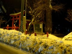 【国内143】2014.2大雪の八戸とんぼがえり，仙台まで帰ることができず急遽盛岡に宿泊