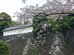 東京よくばりお花見ツアー…歩いて歩いて2万歩達成　～乾通り、千鳥が淵、北の丸公園～