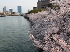 2014　続・大川のさくら散歩