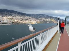 バルセロナから、早春のカナリア諸島クルーズ　③（マデイラ島）