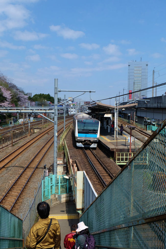 ４月１日　晴天　昨日の飛鳥山での時間が足りないのと<br /><br />バッテルーが切れたので帰ってしまい<br /><br />再度　飛鳥山公園の桜に会いに　再訪でした。<br /><br />飛鳥山公園　三つ博物館<br />http://www.asukayama.jp/access.html