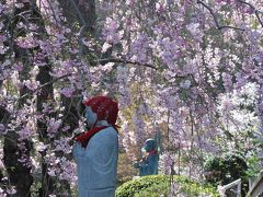 織物で栄えた桐生の近代化遺産と桜を訪ねて