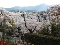 比叡山を借景にして桜を観る