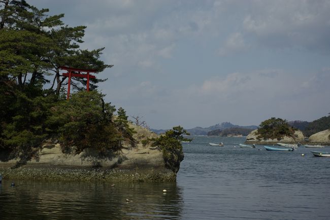 全国的に有名な松島の隣に「奥松島」と呼ばれる地域があります。野蒜海岸の南の先にある宮戸島をメインにした場所で、複雑に入り組んだ海岸線がおもしろい風景を作り出しています。<br />胸を締め付ける光景ばかりを目にしてきた後、ここの美しい風景が穏やかな気持ちを取り戻させてくれました。もちろん、奥松島も津波の被害を受けたはずです。ただ、松島が沖合いの島々のお陰で、壊滅的な被害を免れたように、ここも、外海に面した場所以外は、被害の跡は目立ちませんでした。<br />誤解の無いよう、言い添えておきますと、外海に面した月浜付近の民宿群は大きな被害を受けて、付近には立ち入れませんでした。<br />今回の旅行記は、奥松島の美しい風景をメインに、松島の今昔をちょこっと掲載します。