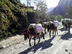ネパール６２：　シンハ温泉　「手甲脚絆でちょっと隣り町まで」　往路編