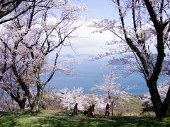 紫雲出山（しうでやま）へ桜を見に。