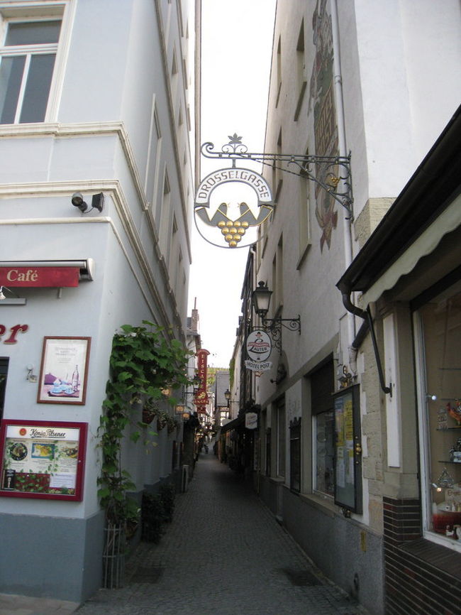 銀河英雄伝説を見てドイツに行きたくなった ハイデルベルク ドイツ の旅行記 ブログ By さくらさん フォートラベル