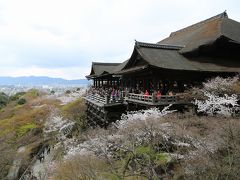 京都・奈良・大阪の８大名所を巡るさくら尽くしの旅～清水寺・哲学の道・南禅寺・祇園・八坂神社・円山公園・吉野山・大阪城公園～