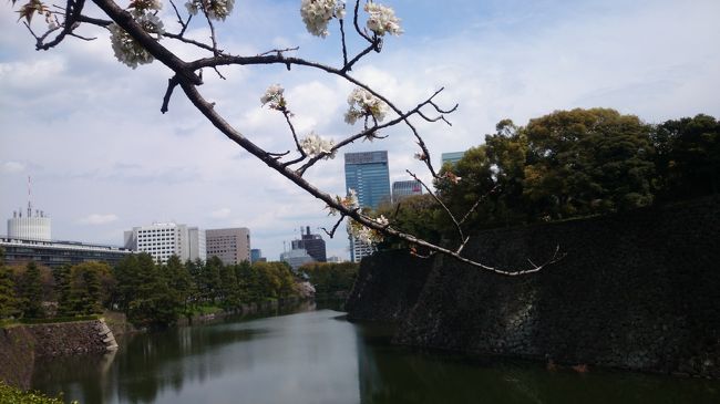 学生時代働いていた赤プリの跡地見学と皇居の一般公開。<br />大学に入り、たしか最初に働いたアルバイトが赤坂プリンスホテル。<br />政治資金パーティーやディナーショーなどの配膳やってました。懐かしい・・・<br />