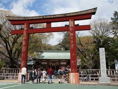 浅間神社(静岡) 花見 ほぼ初見