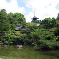 レンタサイクルで廻る初夏の京都の庭園 -2013-