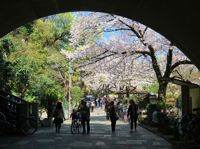 音無川を整備して　綺麗な公園が出来ました。<br /><br />夏は子供たちの水浴びに最適　夕涼みもいいいでしょ<br /><br />でも　一番は　春の桜でしょう<br /><br />音無親水公園<br />http://www.city.kita.tokyo.jp/docs/facility/079/007978.htm