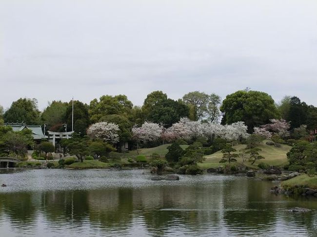 花見を兼ねて、南阿蘇・高千穂を旅してきました。<br /><br />１日目　南阿蘇の高森町<br />２日目　高千穂<br />３日目　熊本市内<br /><br />の日程です。<br /><br />３日目は夕方まで熊本市内を観光して、熊本空港へ向かい飛行機で帰ります。<br />目的は水前寺公園、熊本城で桜を見れたらいいなという感じでした。