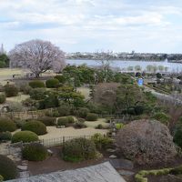 2014年4月土浦・水戸・鹿島・成田2（水戸偕楽園・鹿島神宮）