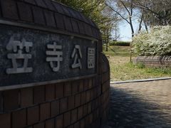 梅散りゆく笠寺公園漂流