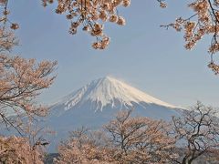 興徳寺の桜と富士≪リベンジ≫ 2014.04.07