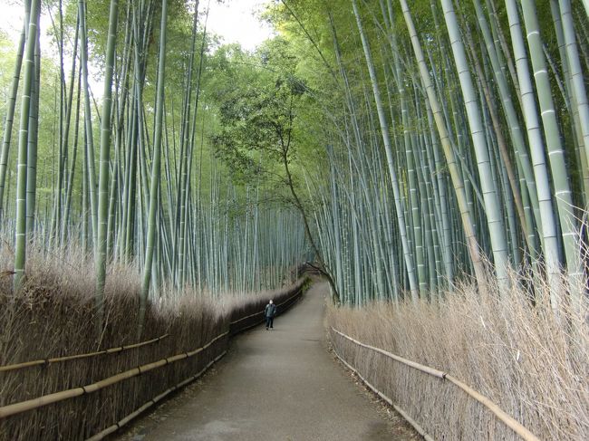 2012年3月当時の古い旅行記、写真の整理、思い出の整理のため上げさせて頂きます。<br />その日、暇だったので思い立って「そうだ、京都行こう」的な気分になったなおかり君。<br />(CMの「そうだ京都…」は秋ですよね・笑)<br /><br />嵐山に車を停めてひたすら歩く歩く念仏寺まで。ちょっとしたウォーキングになりました♪<br />竹林の中を初春の風を感じながら。少しまだ小寒かったけど、気持ち良かったです。
