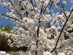 三瀬から佐賀城公園日帰り旅行