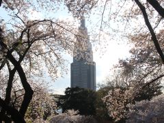 観劇前に埼玉と東京の桜を愛でる（２）きっとこれが年２番目に華やかな新宿御苑