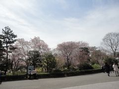 東京駅から桜通り
