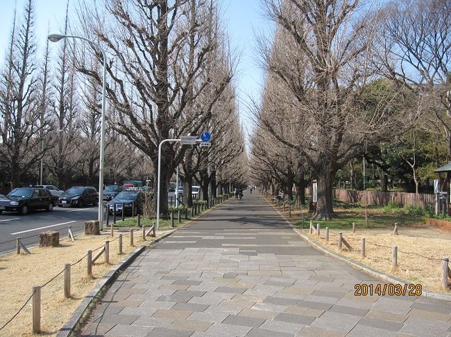 麻布十番でお友達と別れ、帰路、地下鉄「青山一丁目」で下車し、明治神宮外苑を散策しました。<br /><br />明治神宮外苑は、明治天皇とその皇后（昭憲皇太后）の遺徳を後世に伝えるために、全国国民からの寄付金と献木、青年団による勤労奉仕などにより、旧青山練兵場跡に造成され、大正15年（1926）10月に明治神宮に奉献されました。現在の敷地は、約30万?あり、明治神宮野球場、国立競技場、聖徳記念絵画館、明治記念館などがあります。<br /><br />写真は「青山通り」から明治神宮外苑に入る銀杏並木の歩道です。