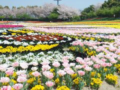 なばなの里　花まつり