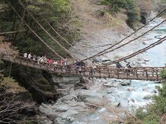 らくらくFDA高知便で行く　ゆったり四国周遊４日間（初日）