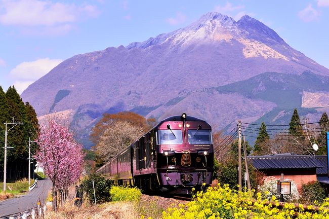 　3月末に一斉に咲き、4月にはあっという間に散り始めた今年の桜。<br />　好天の6日、例年開花が2〜3日遅い由布院ならば、まだ桜が見れるかも。<br />　ならば、まだ見ぬななつ星も一緒に見てこようと出掛けました。