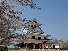 ２０１４年　桜　③館山城