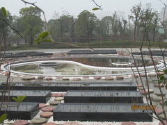 上海の宝山・古建築博物館・聞道園・２