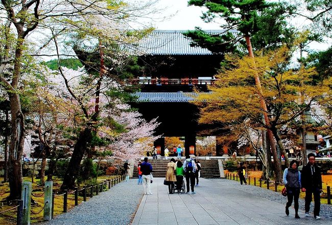 　今年の４月６日に京都の平安神宮へ桜を見に出かけた。その後、時間があり南禅寺・金戒光明寺へと足を伸ばした。勿論の事桜を見る為であるが、時間の都合で数多くの写真を撮ることができなかったが、二寺の特徴ある美しい桜を見ることが出来ました。<br />　　　　　　　　　　　　　　　　　（写真・南禅寺の山門）