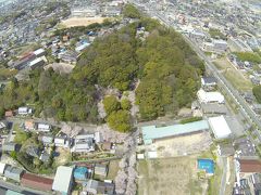 自動車運転免許更新（ほとんど桜の空撮）