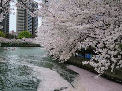 2014 桜を観に ☆2 大阪(桜ノ宮・造幣局)