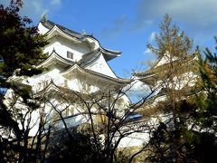 １．芭蕉の生まれ故郷であり、最後の旅の出発地でもある伊賀上野　1-2伊賀上野城