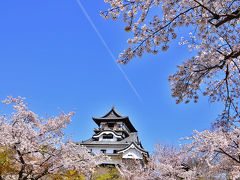 桜に囲まれた日本最古の天守閣・国宝犬山城