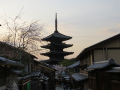 野鳥と夜桜を愛でる